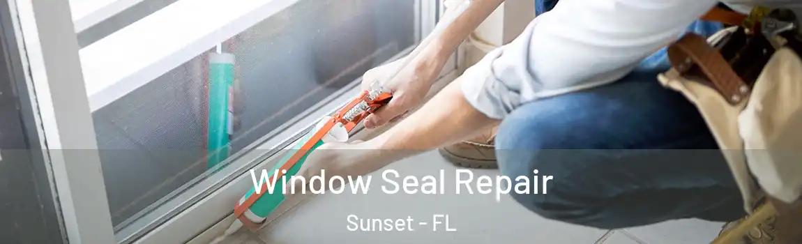  Window Seal Repair Sunset - FL